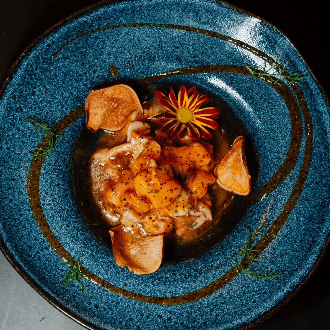 Ceviche Japón Thai (Maracujá) — Salmã, Leite de Tigre, Calda de Maracujá Picante