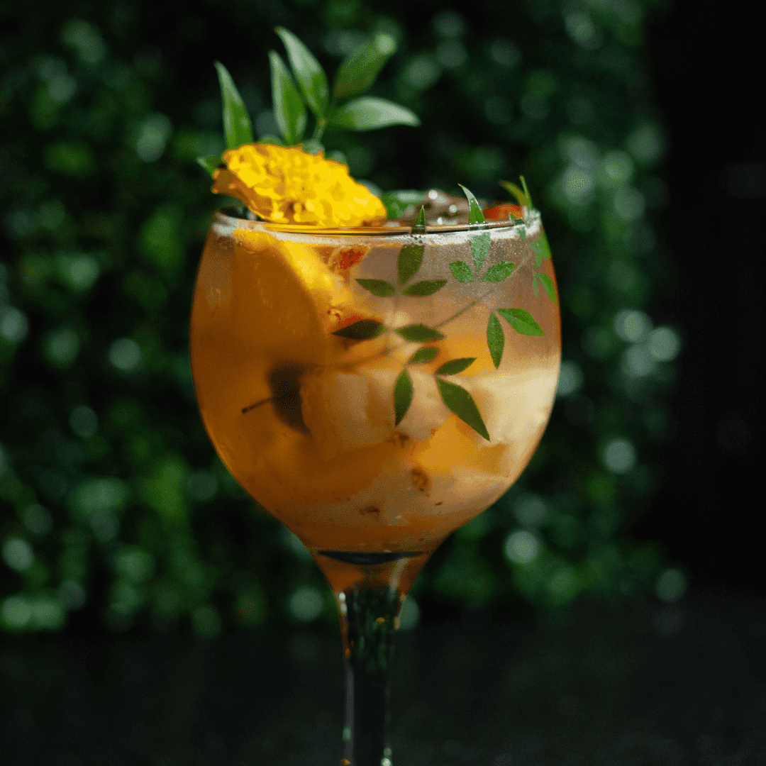 Clericot — Conhaque, Triple Sec, Espumante e Frutas da Estação