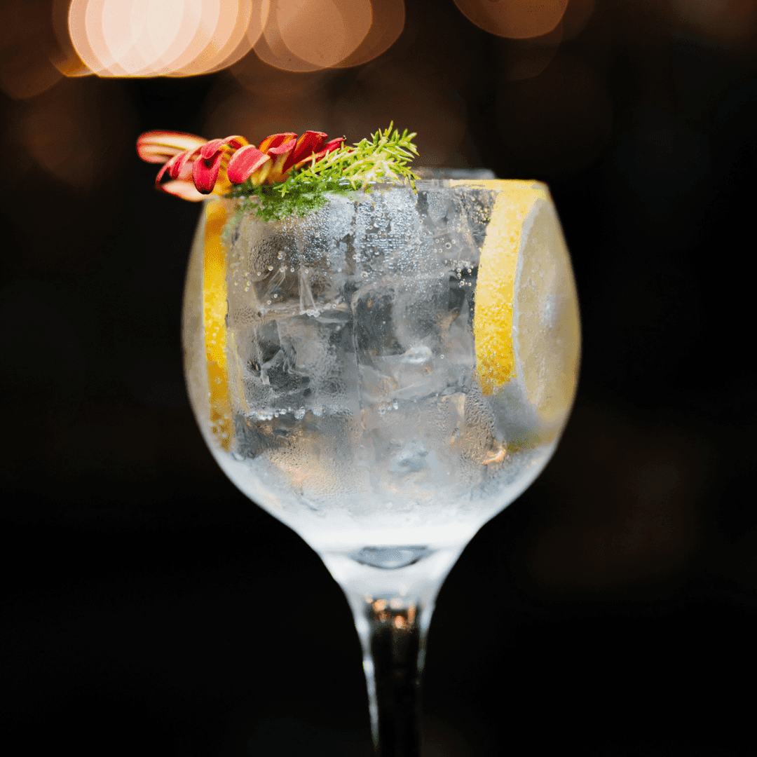 Gin Tônica — Gin com Defumação de Anis e Canela, Servido com Tônica, Finalizado com Especiarias.