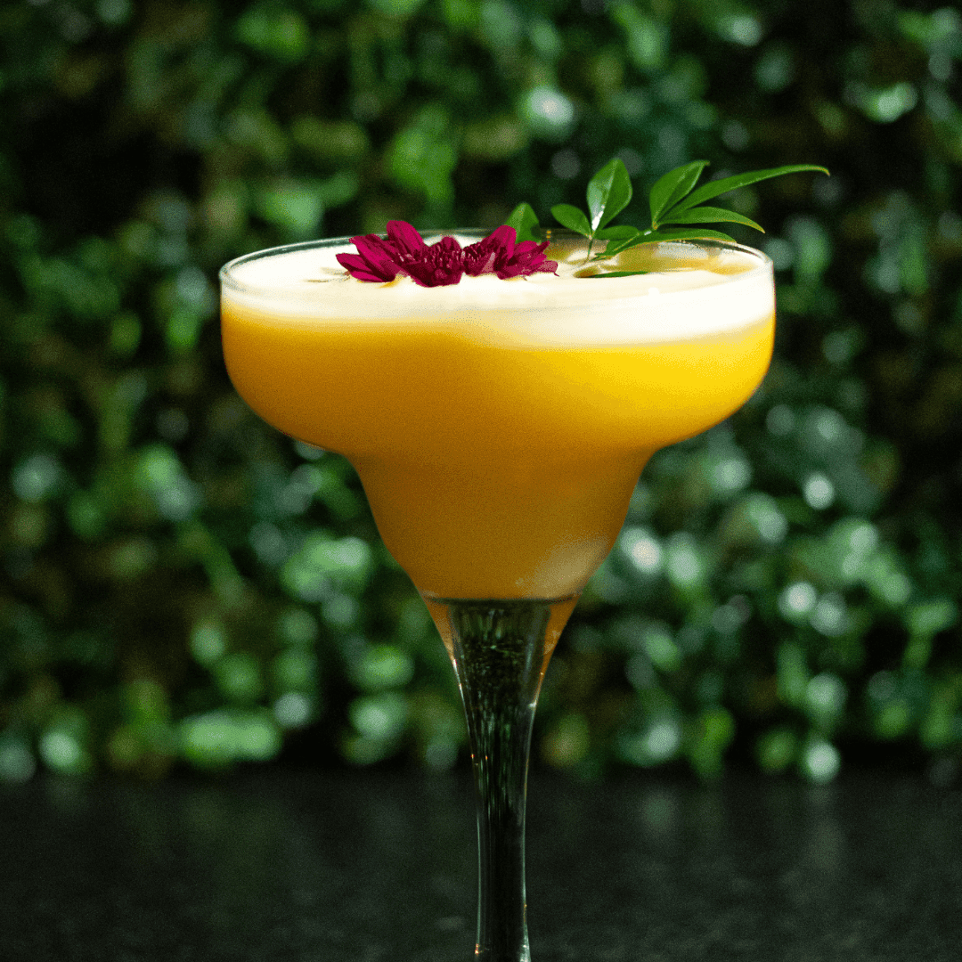 Passion Fruit Sour Japon — Whisky, Triple Sec, Limão siciliano, Maracujá, Xarope de açúcar e Clara de ovo