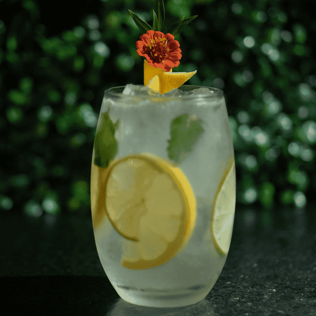 Southside Fizz — Gin, xarope de açúcar, limão siciliano, limão taiti e folhas de hortelã