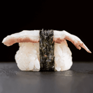 Nigiri Tako — Polvo e arroz