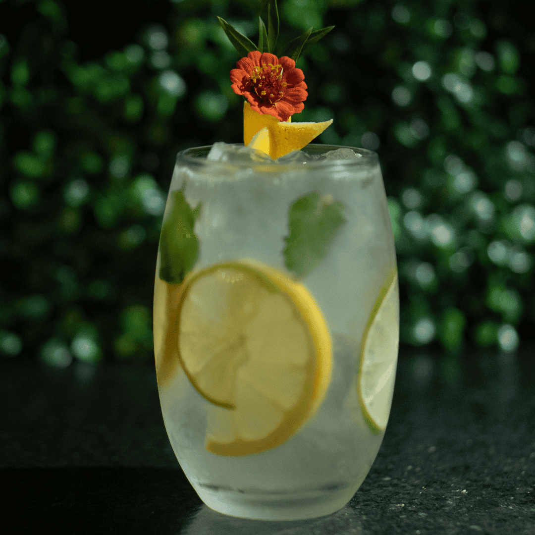 southside fizz 1080x1080